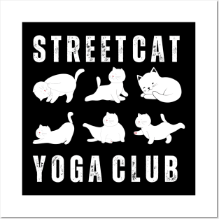 streets cats yoga club Posters and Art